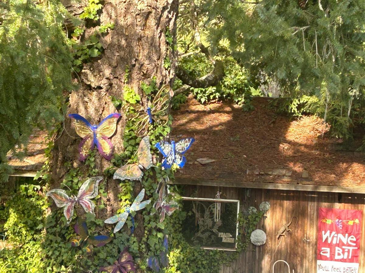 Foothill House Bed & Breakfast Calistoga Bagian luar foto