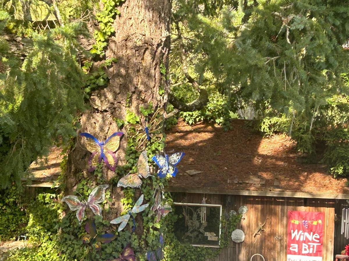 Foothill House Bed & Breakfast Calistoga Bagian luar foto